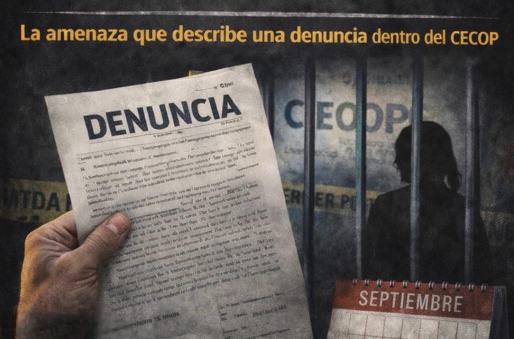 Rumbo al 8M: denuncia vinculada a organismo del Gobierno de Sonora relata amenazas contra mujeres del entorno familiar de un funcionario